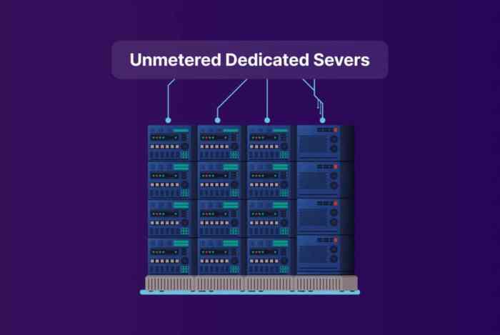 dedicated server with unmetered bandwidth