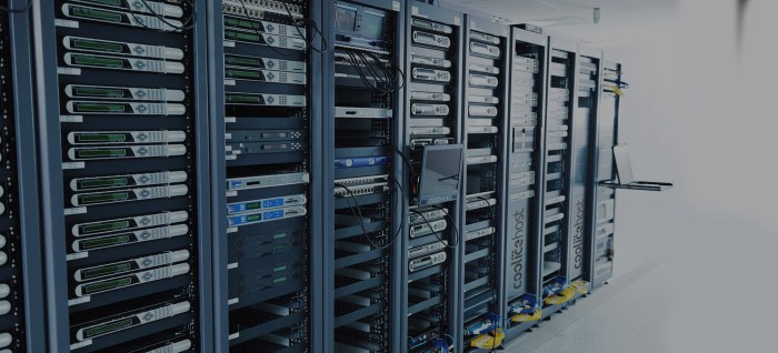 ddos protected servers